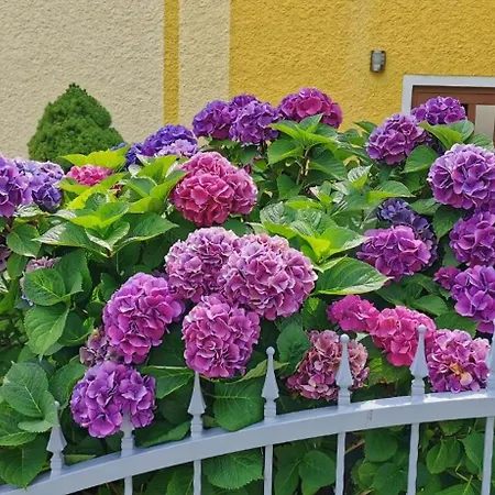 Komfortable Mit Garten Und Grill Apartment *