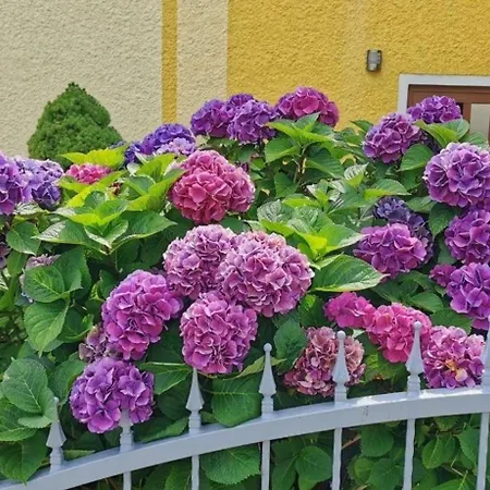 Komfortable Ferienwohnung Mit Garten Und Grill Gleissenberg
